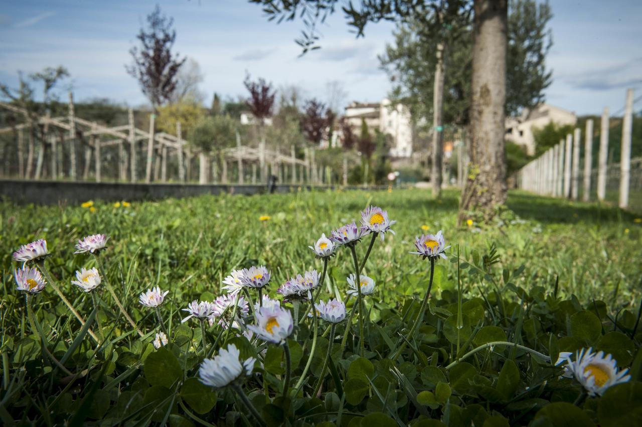 Agriturismo Borgo Di Calmasino Βίλα Μπαρντολίνο Εξωτερικό φωτογραφία